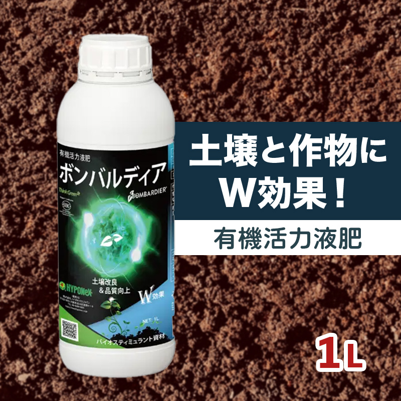 ボンバルディア1L
