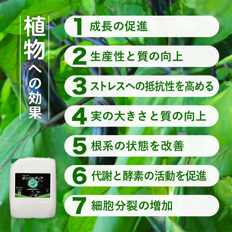 ボンバルディア1L