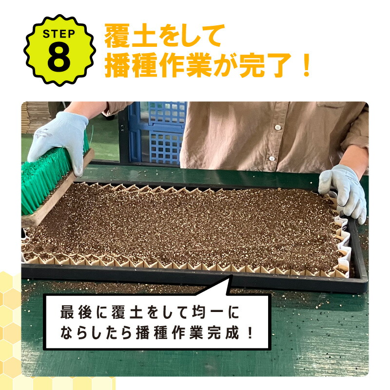 播種5点セット