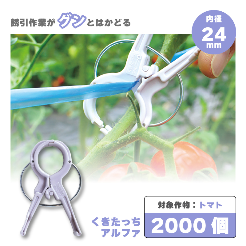 くきたっち2000個