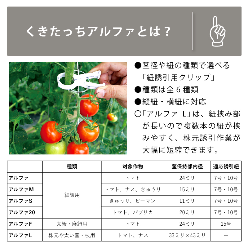 2000個 (200個×10袋) くきたっちアルファ 20 グレー 灰色 A20-GY200 細