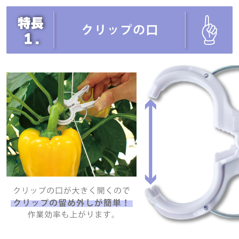 くきたっち2000個