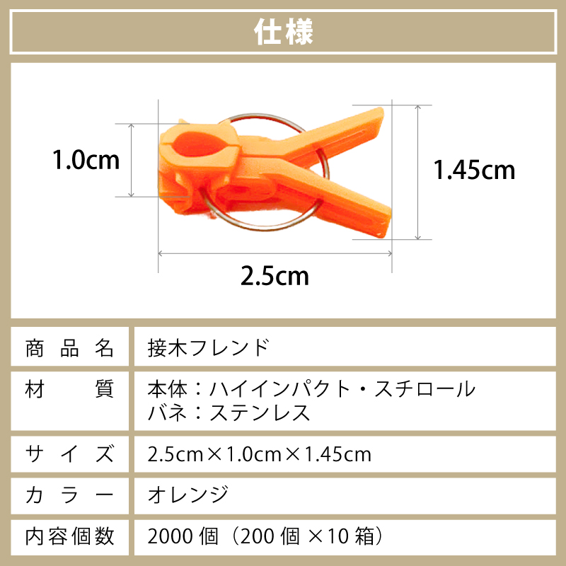 2000個接木フレンドオレンジ