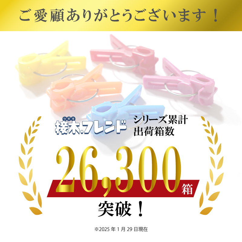 2000個接木フレンドバイオレット