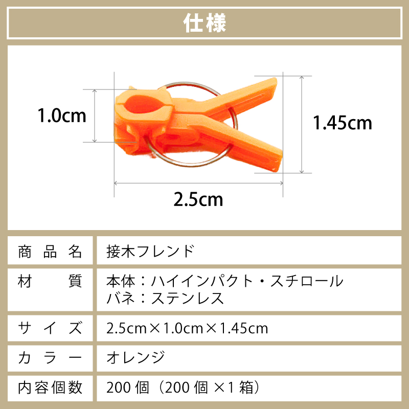 200個接木フレンドオレンジ