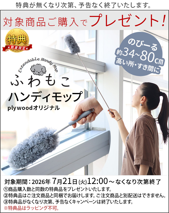 BRID（ブリッド） 【2大特典付】シーリングファン 小型 軽量 ダクト