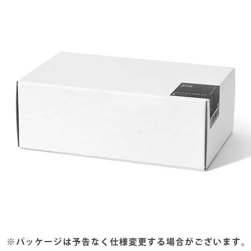 【特典付】 ペーパータオルケース  soil GEM PAPER TOWEL BOX P2倍の画像