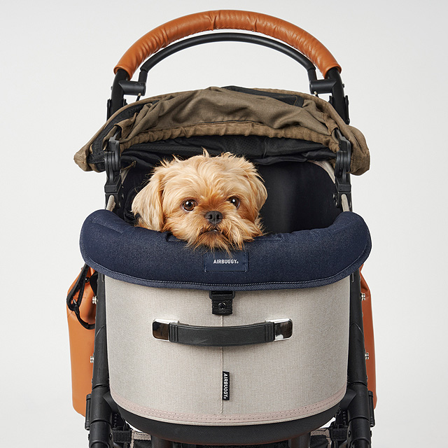 エアバギー ドーム3専用あごのせクッション (犬用キャリーバッグ 