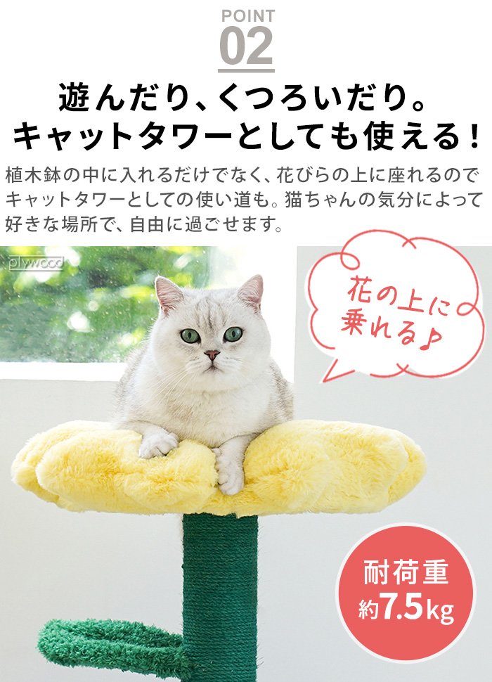 メーカー直送品】【特典付】 猫ベッド ネコベッド ペットハウス
