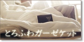 三ツ星ゴールドラベル 軽やか羽毛布団 ダブル [D羽毛掛 無地TTC
