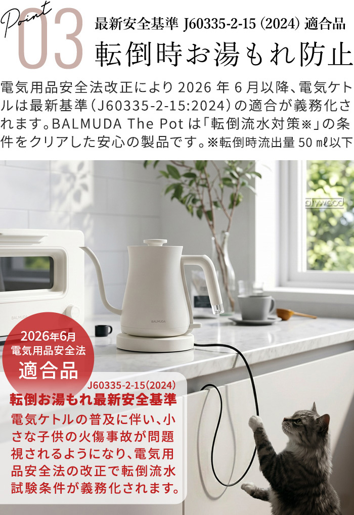 BALMUDA（バルミューダ） 新基準モデル 正規品 ザ・ポット BALMUDA The