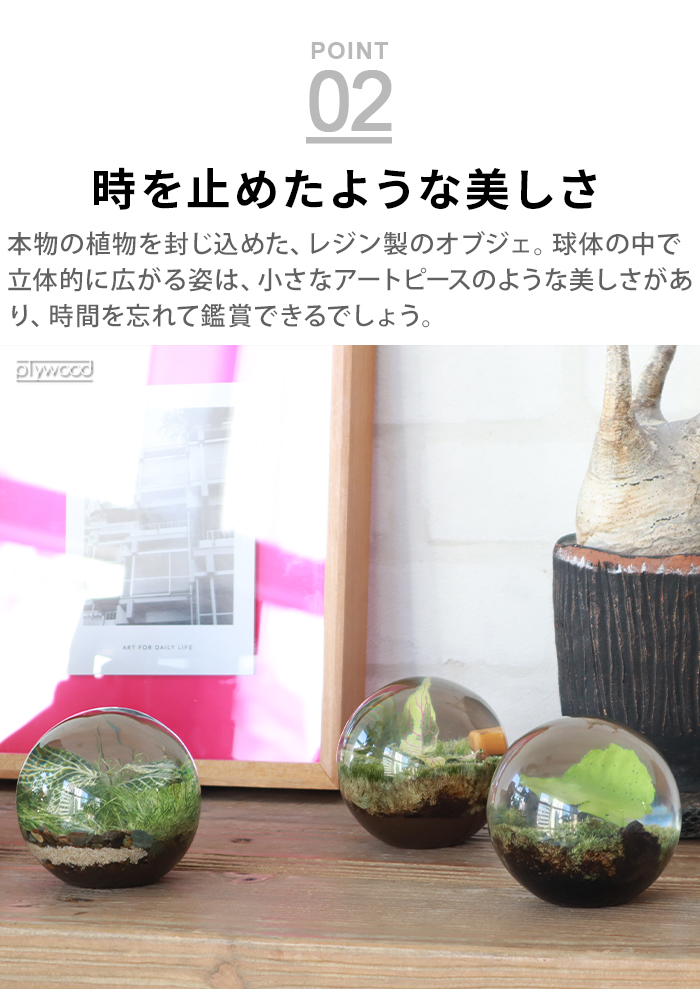 amabro（アマブロ） 置物 おしゃれ インテリア 玄関 トイレ オブジェ