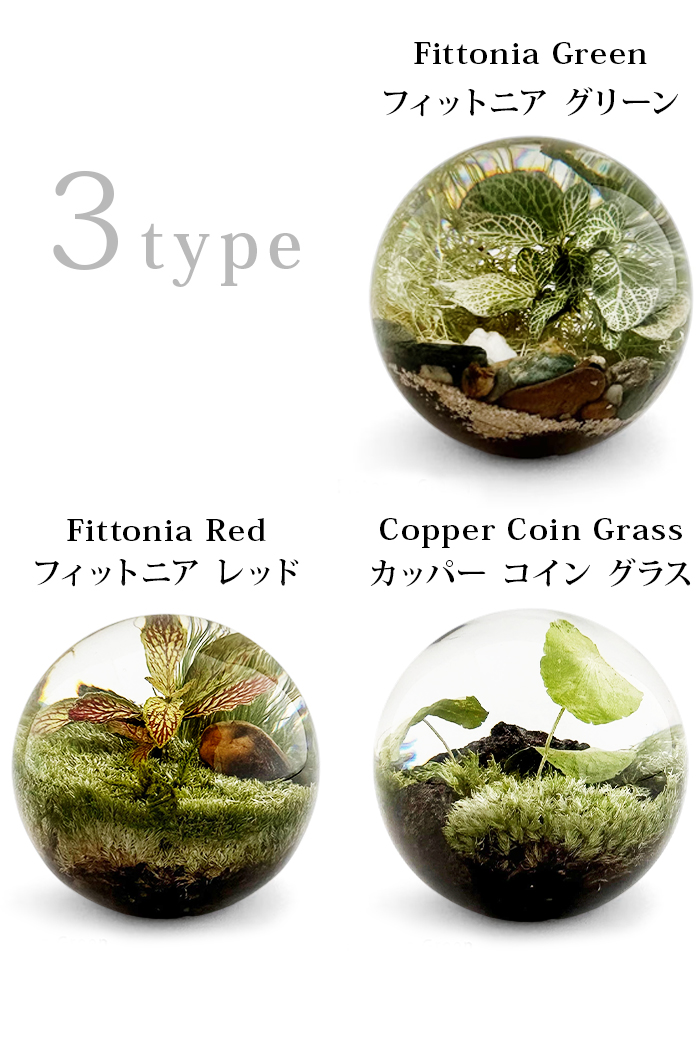 amabro（アマブロ） 置物 おしゃれ インテリア 玄関 トイレ オブジェ 