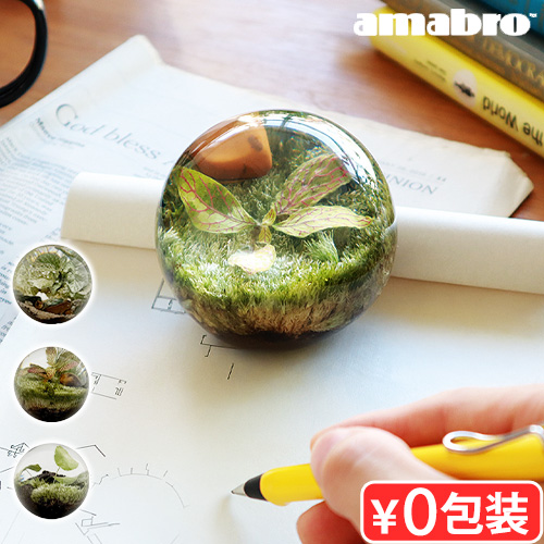 amabro（アマブロ） 置物 おしゃれ インテリア 玄関 トイレ オブジェ