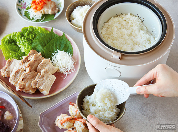 【選べる3大特典付】 糖質低減 炊飯器 レコルト ヘルシーライスクッカー recolte Healthy Rice Cooker RHR-1