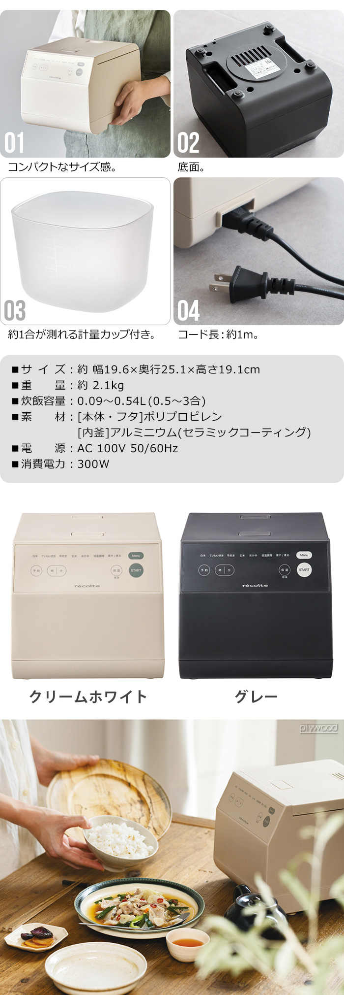 レコルト クッキングライスクッカー recolte Cooking Rice Cooker RCR