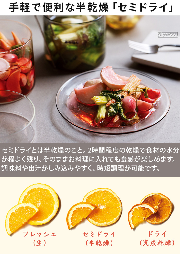 recolte（レコルト） 【2大特典付】 食品乾燥機 フードドライヤー 小型