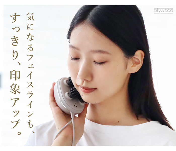 楽天市場】【P10倍/正規品/選べる】FESTINO フェスティノ 充電式