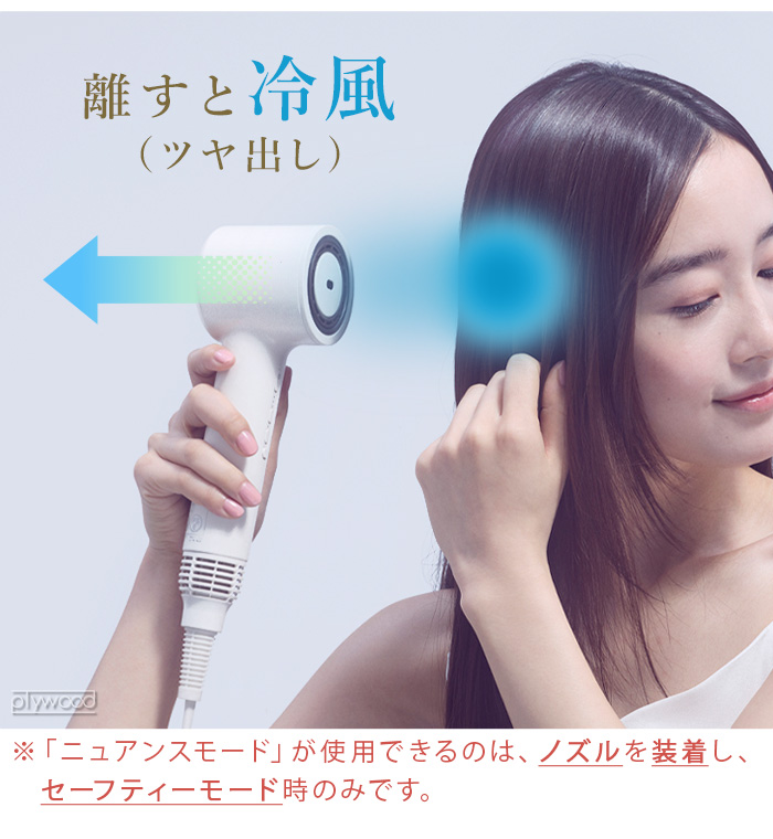 FESTINO 【2大特典付】 正規取扱店 ドライヤー 大風量 マイナス