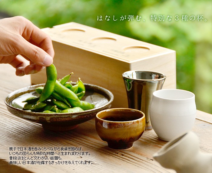 飲み比べセット 波佐見焼 日本酒 呑みくらべ 杯セット 送料無料