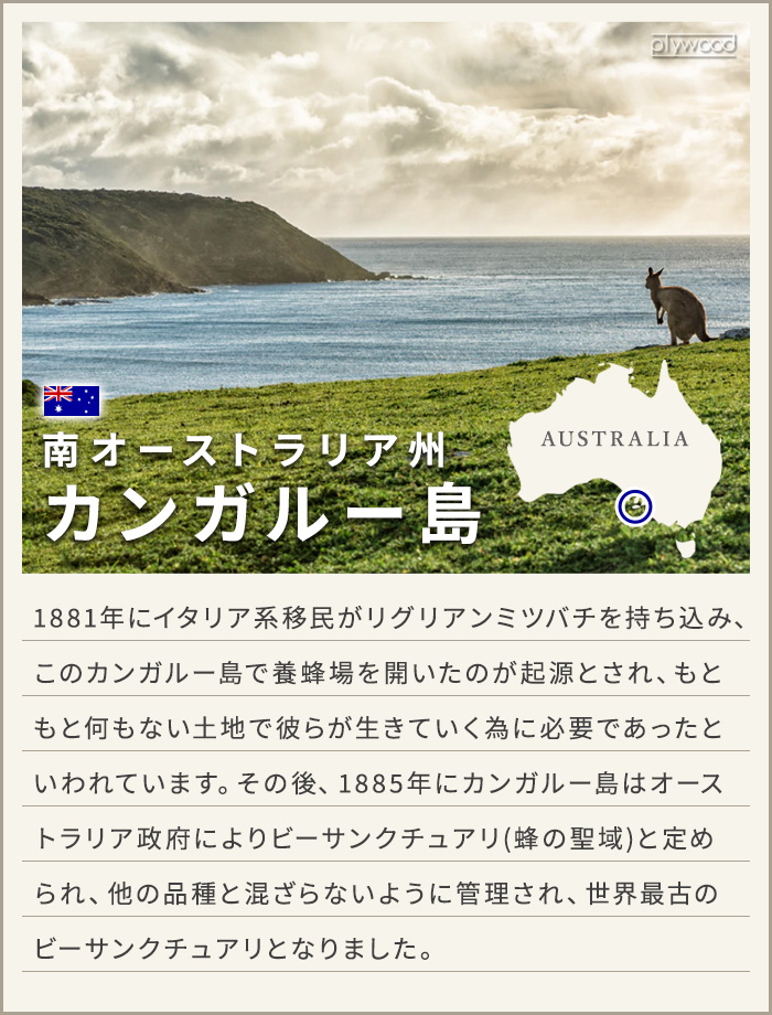 MAINE BEACH（マインビーチ） ボディムース ボディクリーム いい香り