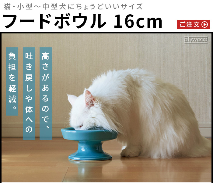 ペット 食器 磁器 食べやすい フードボウル 高さがある 猫 餌皿 HASAMI