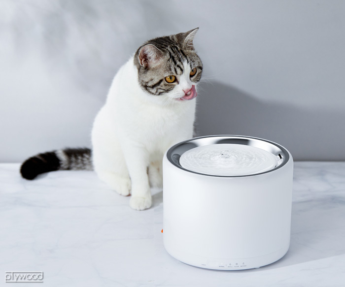 自動給水器 猫 犬 PETKIT ペットキット ドリンキング・ウォーター