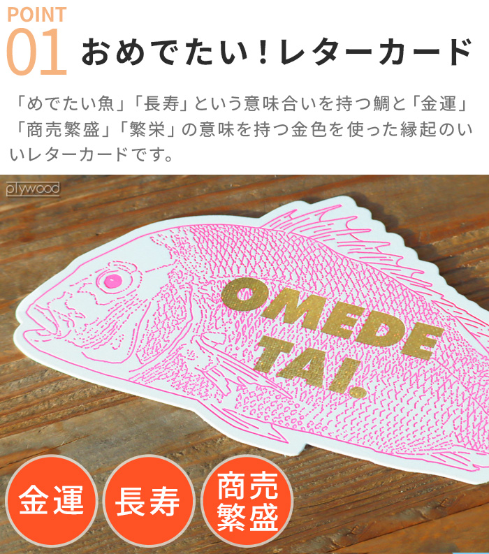 ネコポスOK ポストカード おしゃれ メッセージカード アンドナット