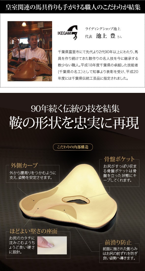 骨盤矯正 プロイデア 馬具マットプレミアム : plywood - 通販 - Yahoo