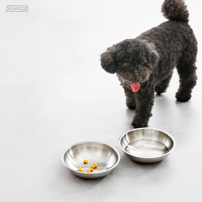 特典付】braaa ブラー ステンレス ペットボウル ボウル 犬 日本製 餌