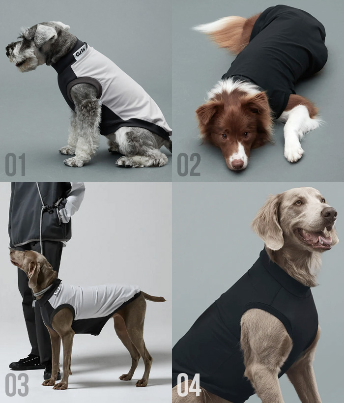 エミ♡3.1 Phillip Lim プードルスウェット グレー　犬 エミ♡3.1 Phillip Lim プードルスウェット グレー 犬 エミ♡3.1