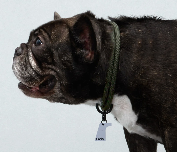 Silver Collection 犬の形のセット 楽天市場】犬のぬいぐるみチワワ 2体セットアイボリー