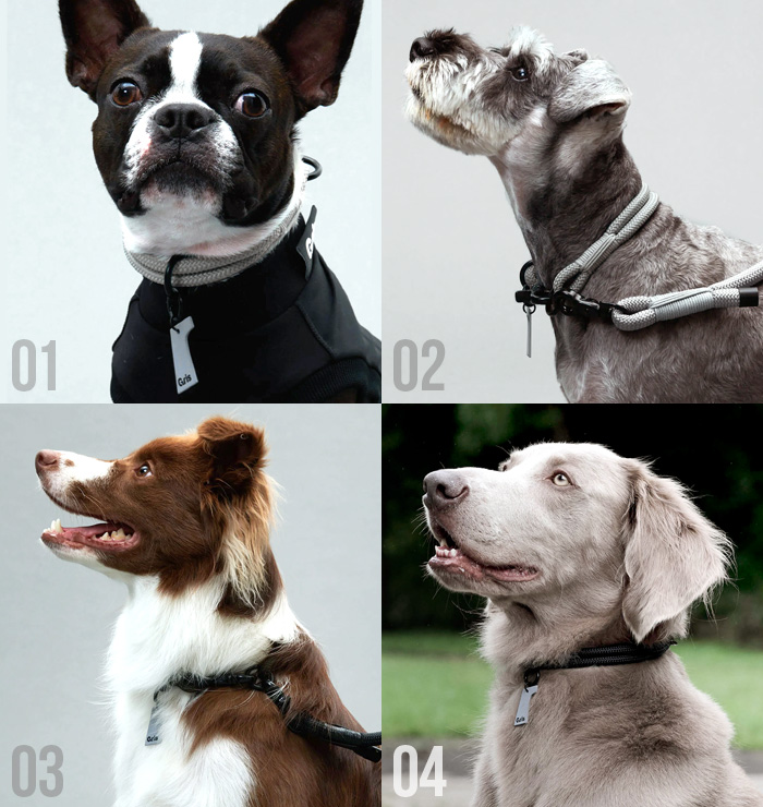 Silver Collection 犬の形のセット 楽天市場】犬のぬいぐるみチワワ 2体セットアイボリー