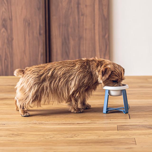 【LINEギフト】ペット 食器 陶器 犬 猫  pecolo Food Stand S tall [ステンレス] [陶器深型] PCL-FS-M PCL-FS-MT｜plywood