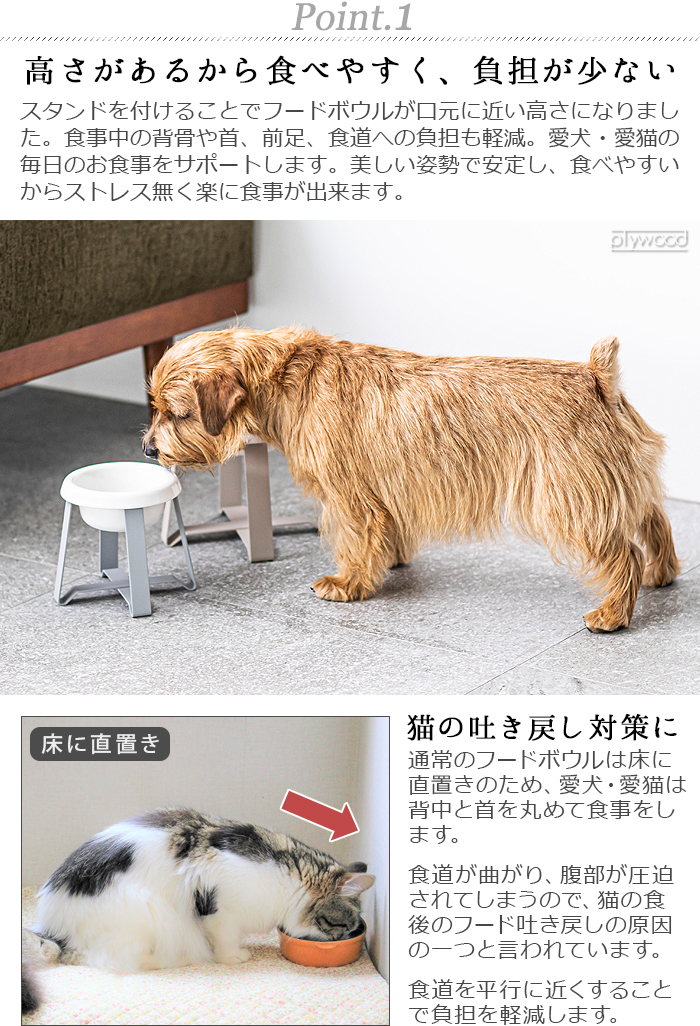 ペット 食器 陶器 猫 犬  pecolo Food Stand S tall [陶器浅型] PCL-FS-MA｜plywood｜05