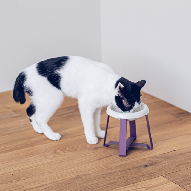 【LINEギフト用販売ページ】ペット 食器 陶器 猫 犬  pecolo Food Stand S tall [陶器浅型] PCL-FS-MA