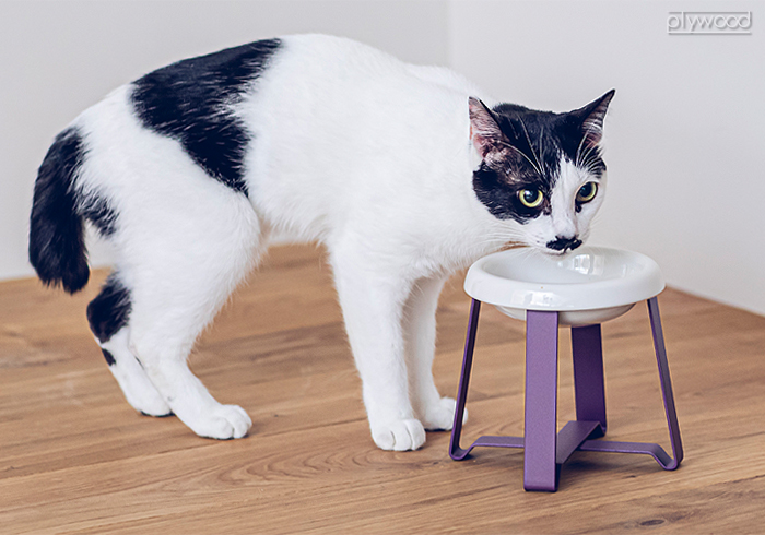 猫用食器 pecolo Food Stand S 2個セット 楽天市場】【Newカラー】pecolo ペコロ フードスタンド S【猫