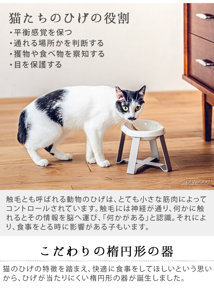 ペット 食器 陶器 pecolo Food Stand Stall wide [長皿浅型陶器] ペコロ フードスタンド 早食い防止 食べやすい フードボウル 高さがある 猫 餌皿 |  | 05