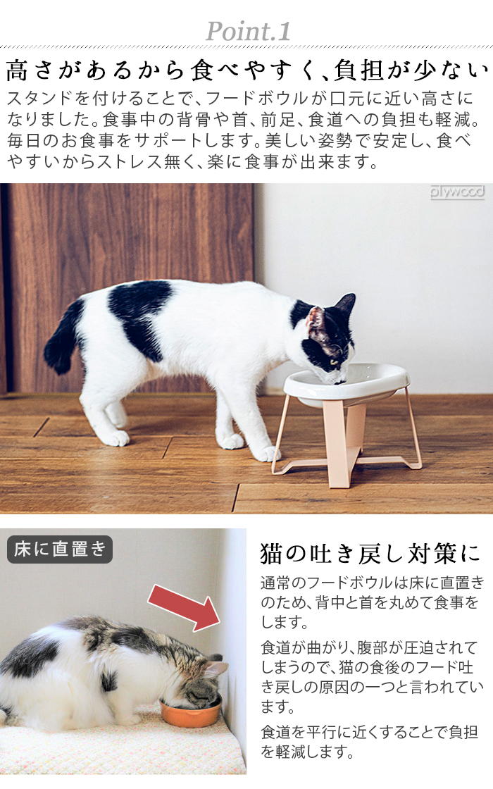ペット 食器 陶器 pecolo Food Stand Stall wide [長皿浅型陶器] ペコロ フードスタンド 早食い防止 食べやすい フードボウル 高さがある 猫 餌皿 |  | 07