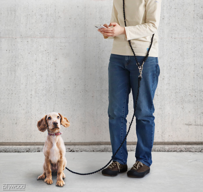 リード 犬 おしゃれ たすき掛け GOLDENMAMA 3Wayハンズフリー