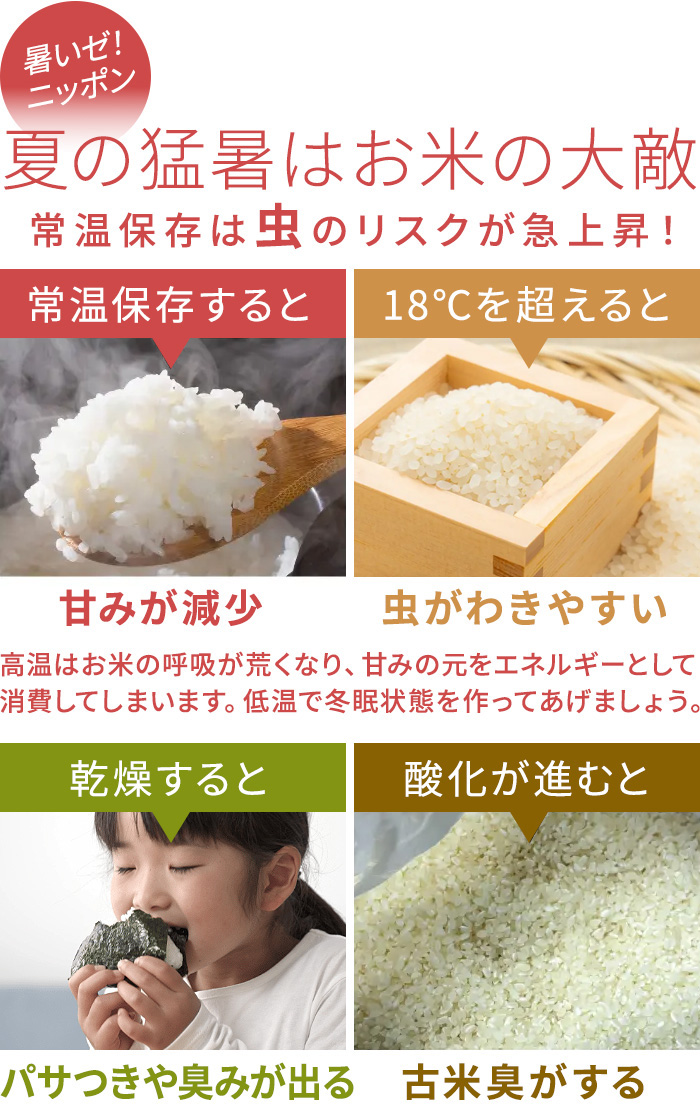 【選べる特典付】 米びつ 冷蔵庫 10kg 防...の詳細画像3