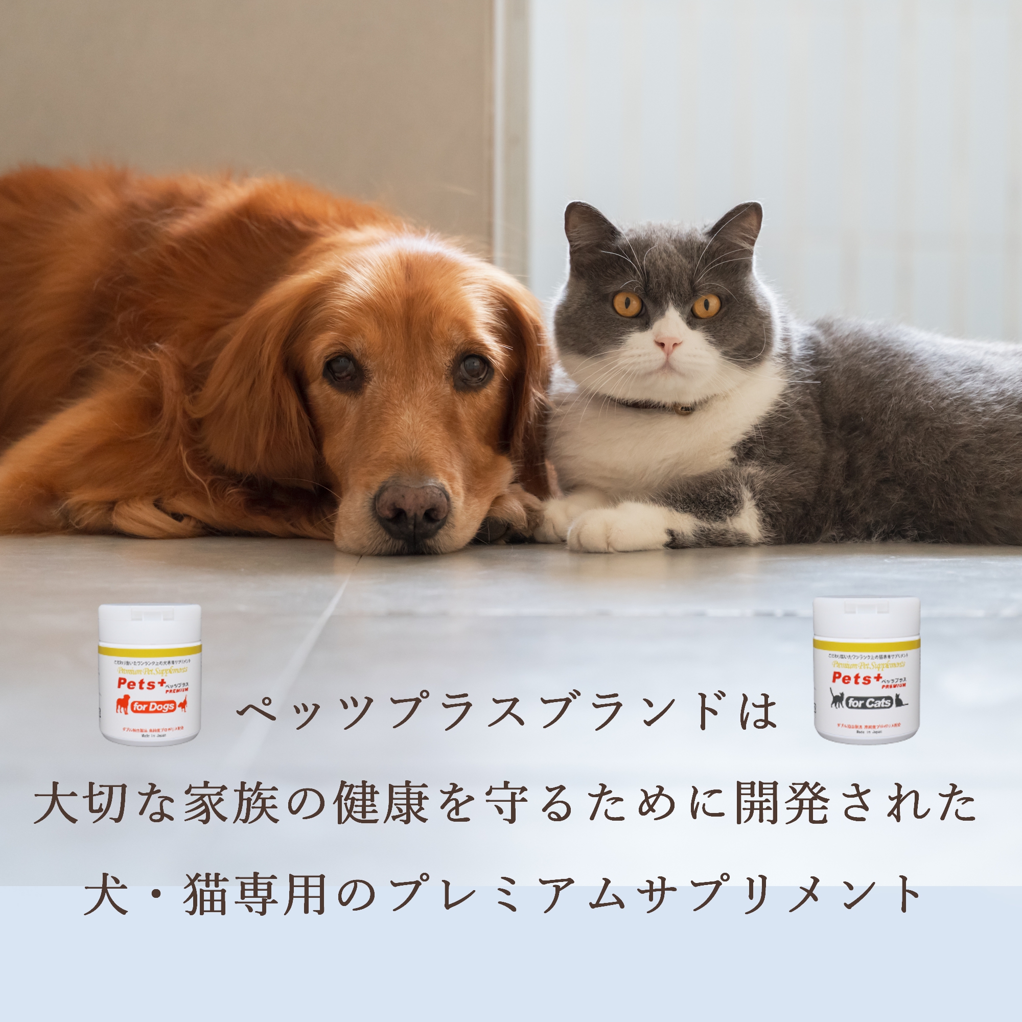 犬専用サプリメント ペッツプラス プレミアムアルファ 〜β-dグルカン