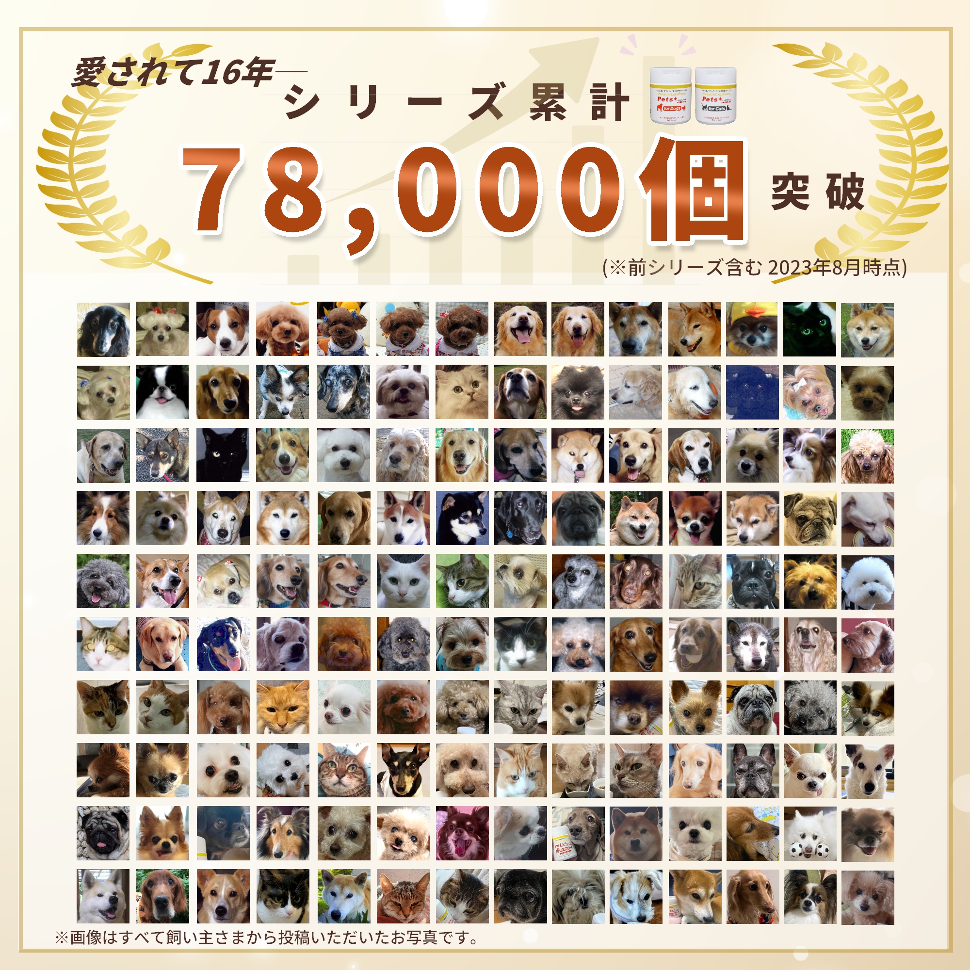 Pets+（ペッツプラス） 犬 サプリメント QOL 免疫力 ケア 健康維持