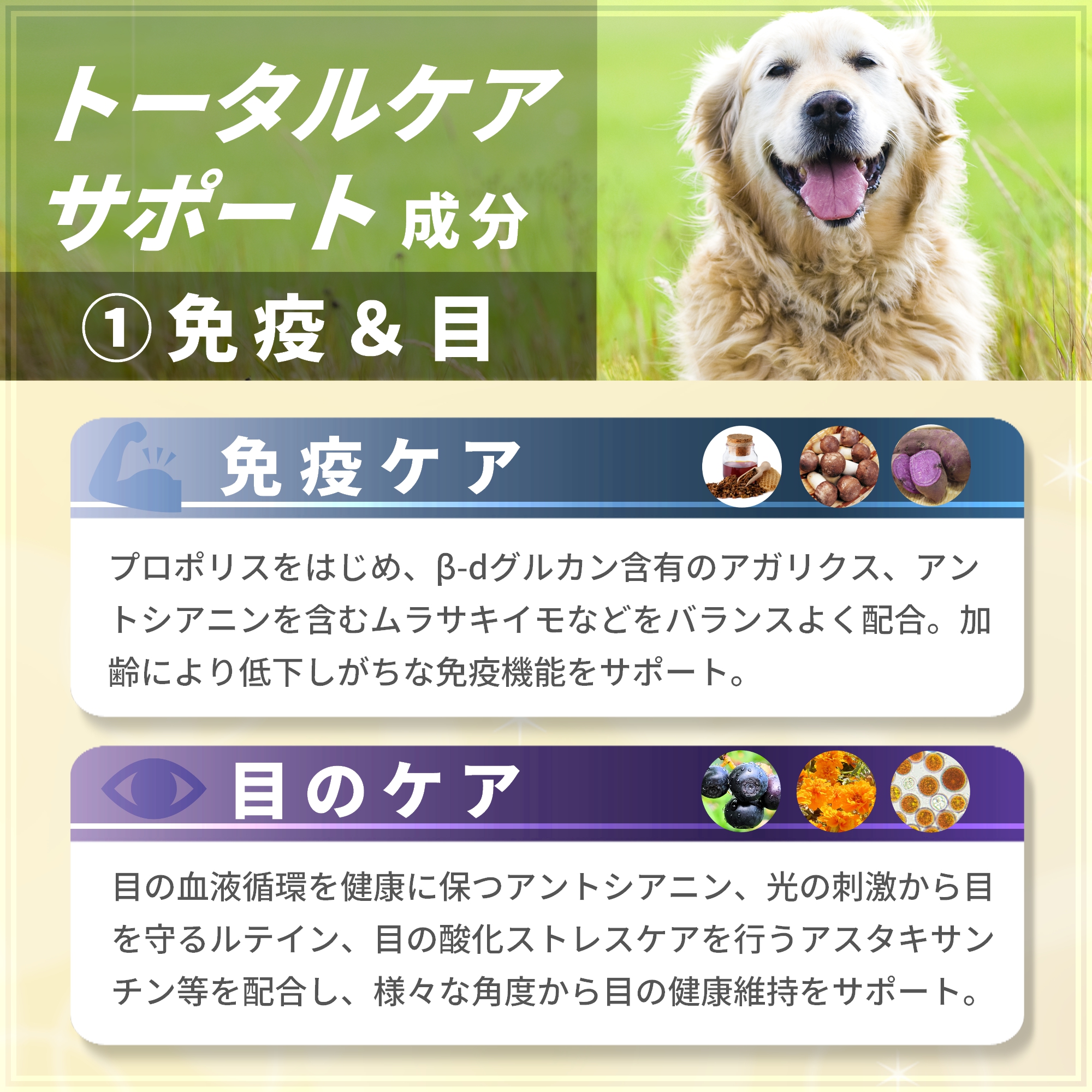 Pets+（ペッツプラス） 犬 サプリメント 全身ケア 免疫 目 脳 関節