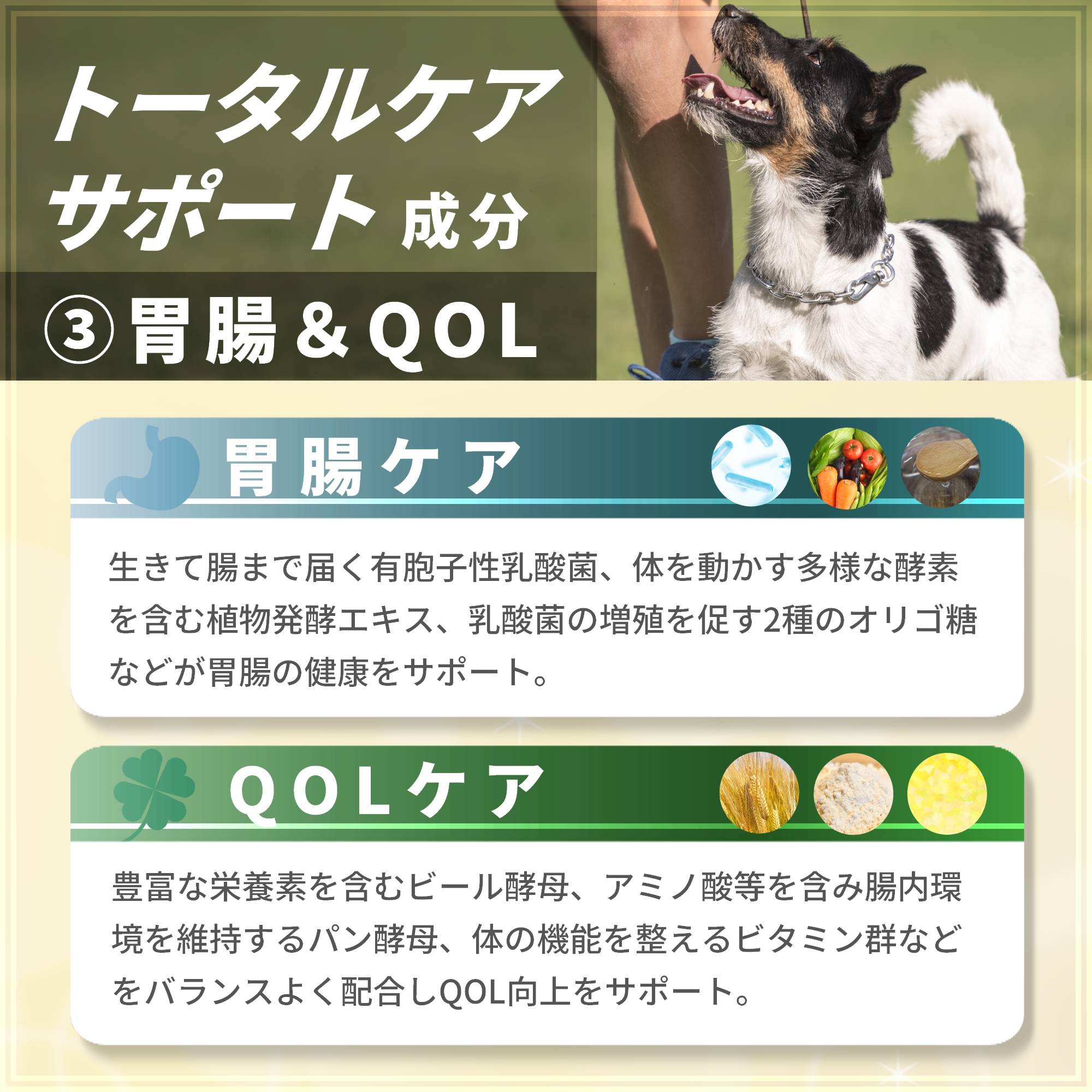 Pets+（ペッツプラス） 犬 サプリメント 全身ケア 免疫 目 脳 関節