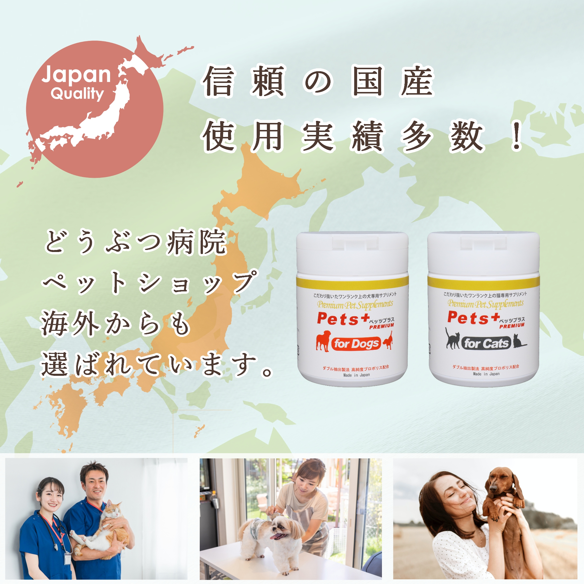 犬専用サプリメント ペッツプラス プレミアムバイタル 〜あたまの健康維持をサポート〜 : petsplus-dogs-premiumvital :  プレミアムモール - 通販 - Yahoo!ショッピング