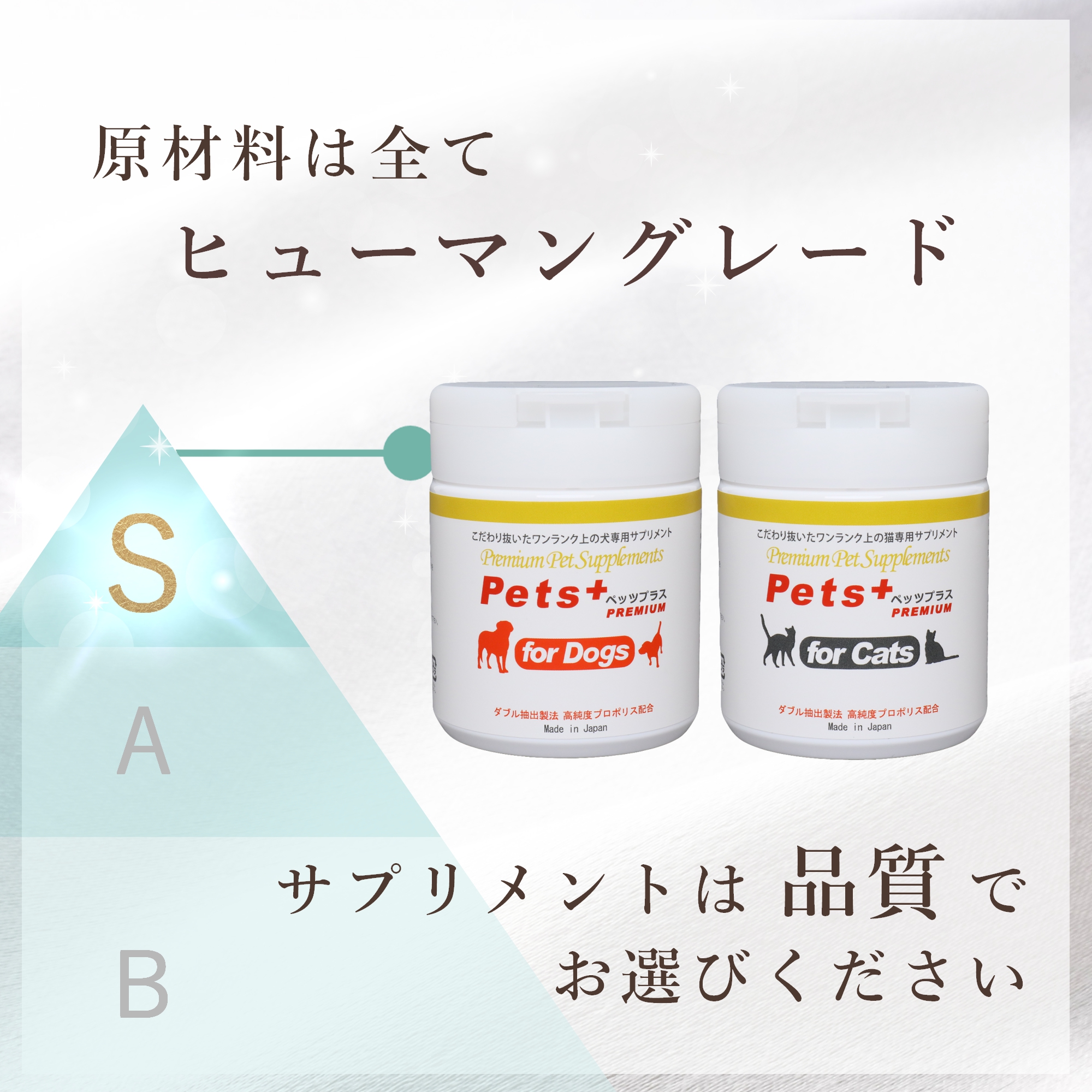 犬専用サプリメント ペッツプラス プレミアムバイタル 〜あたまの健康