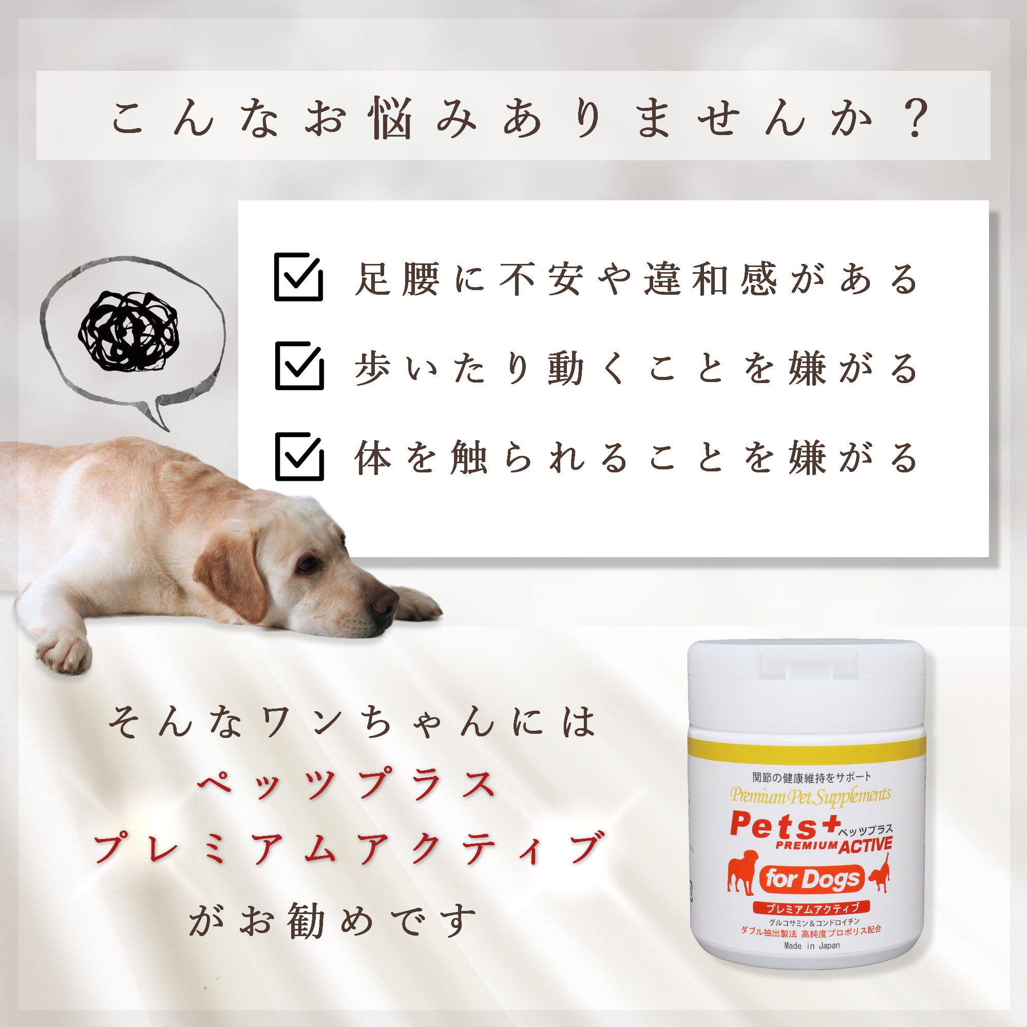 犬専用サプリメント ペッツプラス プレミアムアクティブ 〜関節の健康維持をサポート〜 : petsplus-dogs-premiumactive :  プレミアムモール - 通販 - Yahoo!ショッピング