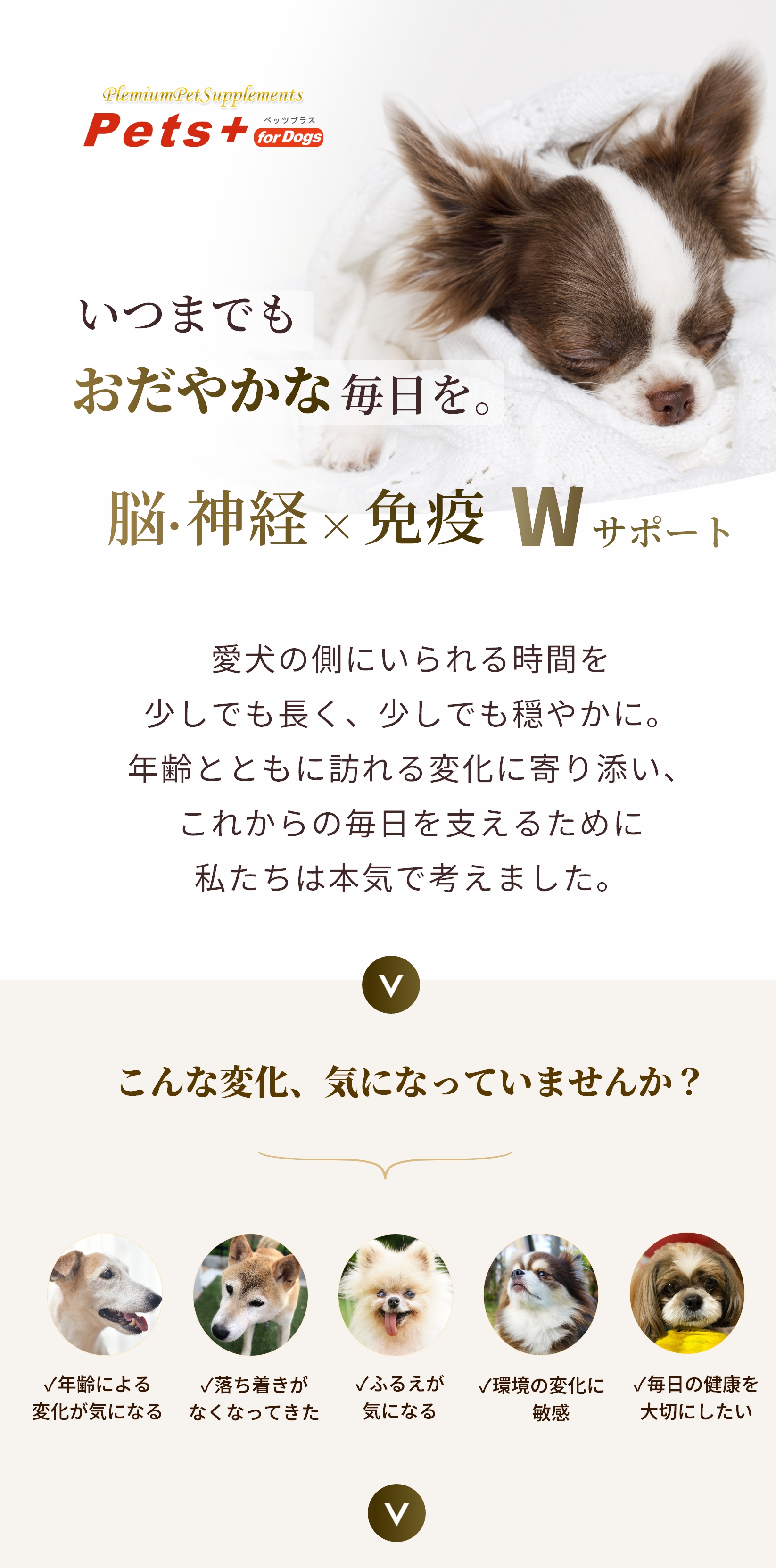 Pets+（ペッツプラス） プレミアムバイタル 犬 脳 サプリ おだやか