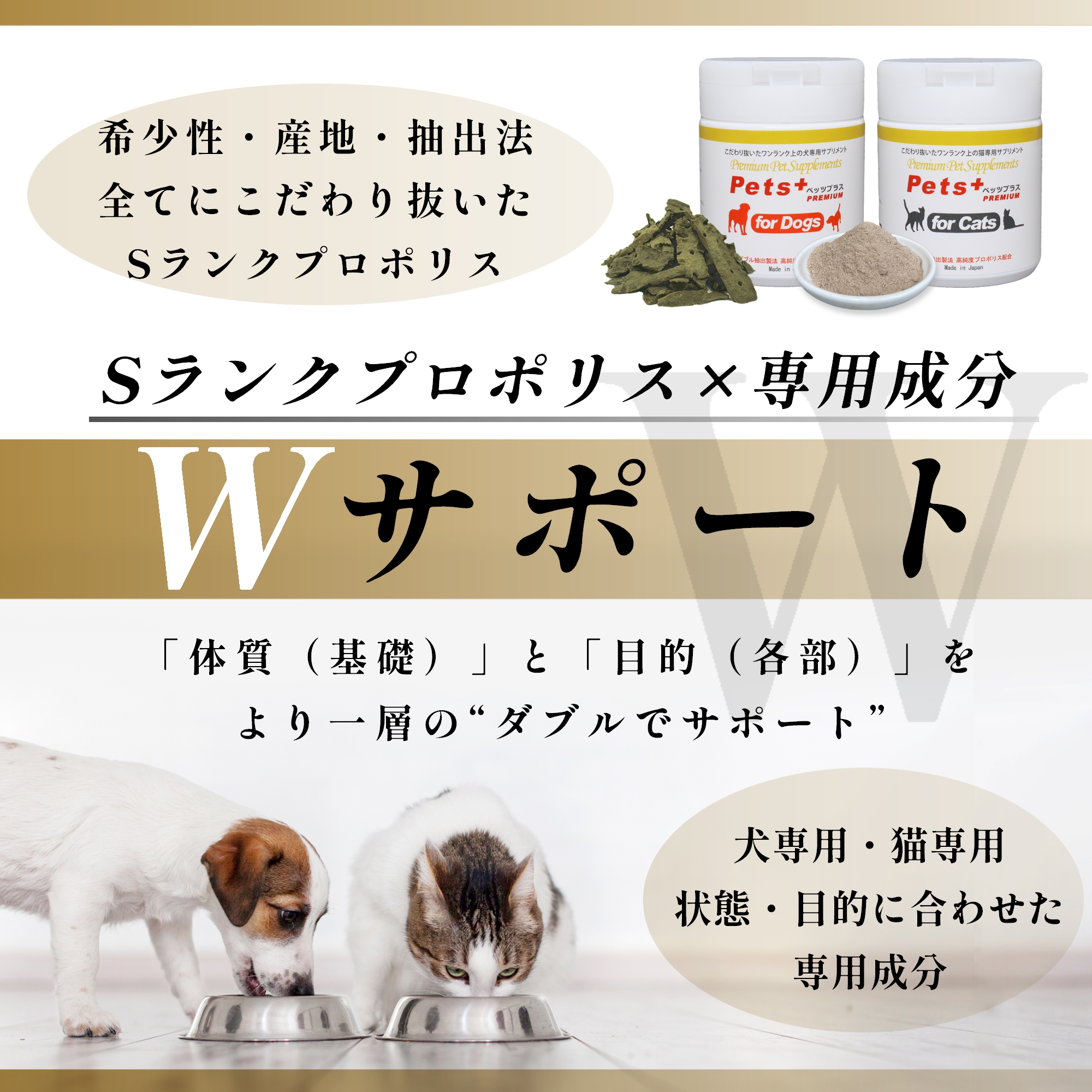 犬専用サプリメント ペッツプラス プレミアムバイタル 〜あたまの健康維持をサポート〜 : petsplus-dogs-premiumvital :  プレミアムモール - 通販 - Yahoo!ショッピング